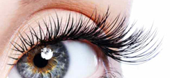 Blink Eye