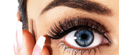 Eyebrow and Lash Tinting